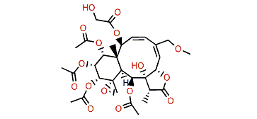 Gemmacolide AA